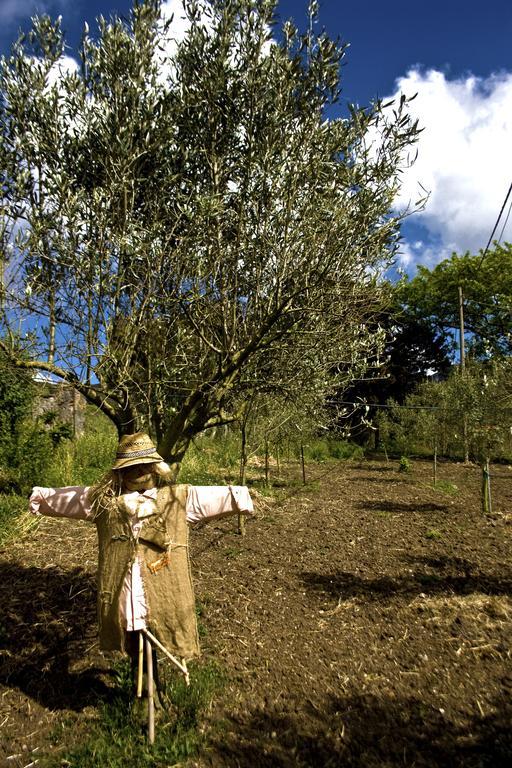 Agriturismo Satanca Villa Arbus Kültér fotó